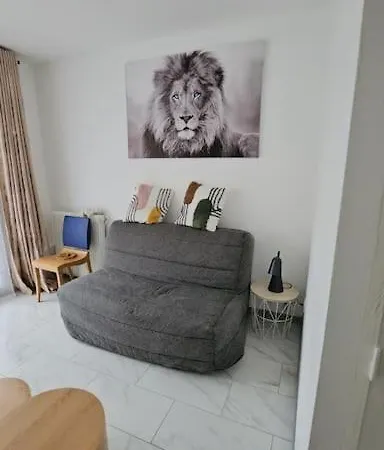 Le Tolstoi Chic Apartmán Villeurbanne